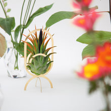 Lade das Bild in den Galerie-Viewer, Messingfarbiger kleiner Pflanzenständer mit grüner Luftpflanze steht auf Tisch
