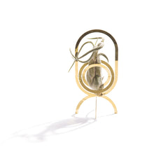 Lade das Bild in den Galerie-Viewer, Stehender Pflanzenständer mit kleiner Pflanze in gold messing
